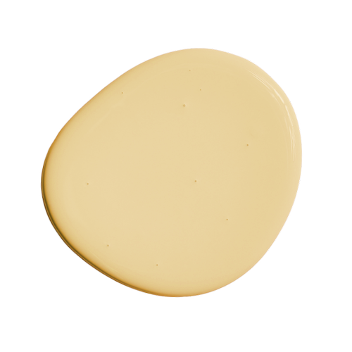 Promac QD Enamel Top Coat: Durable & quick dry