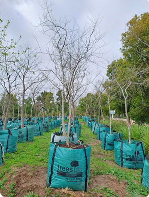 Jiffy Camelthorn Horticulture Tree Bags (Prices From)