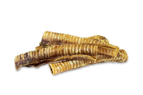 K9 Trachea 7's - Doy Pack