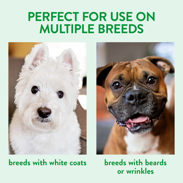 Tropiclean Tearless Tear Stain Remover (236ml)