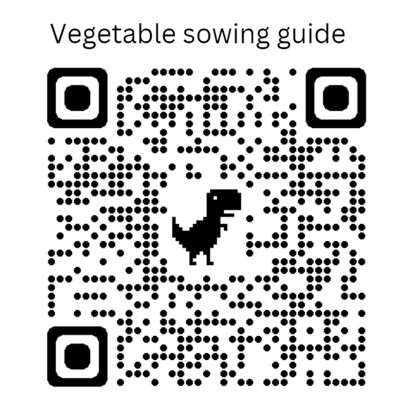 Kestrel F1 Round Red Beet Seeds (Prices From)