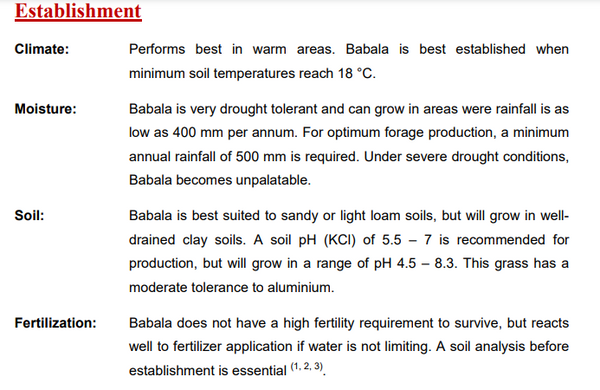 Babala Seeds/ Pearl Millet 25kg