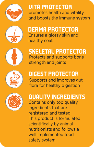 LifeStyle Adult Dog Food (Prices From)