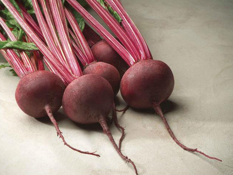 Erdnase Bee Red Acorn Back エイコーンバック赤 Red Ace F1 Round Red Beet Seeds (Prices From) – For the Farmer
