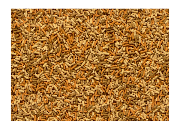 Tetra Pond Variety Sticks (Prices from)