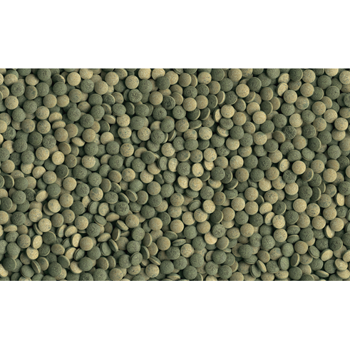 Tetra Pleco Tablets - 120’S