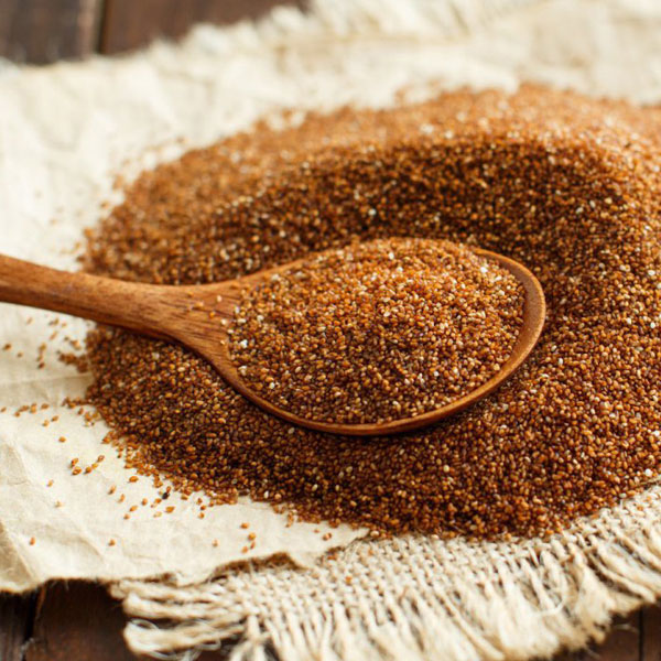 Teff Grain Brown. (Prices From)