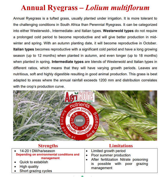 Rye Grass: Annual 25kg