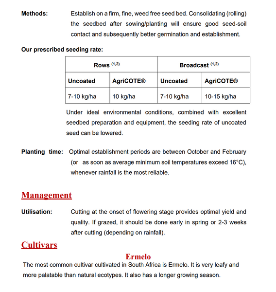 Oulandsgras/Lovegrass - Eragrostis curvula (Ermelo) - Coated 25kg