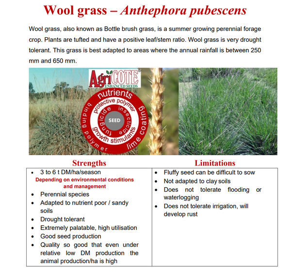 Bottle Brush / Bristle Grass / Woolgrass (Coated) 20kg