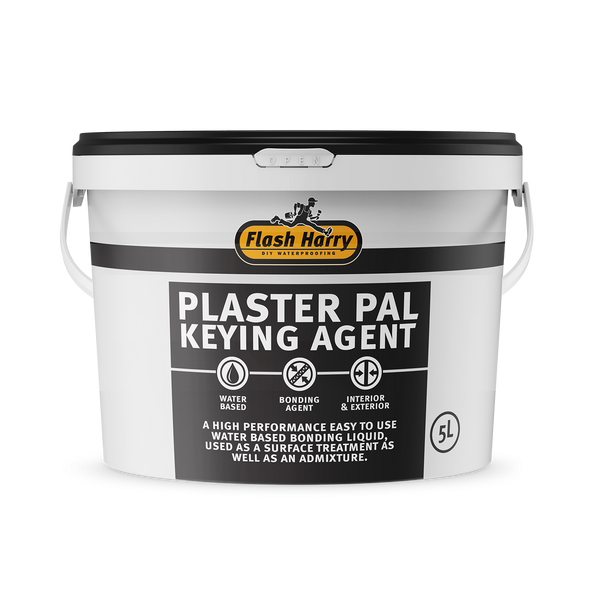 Flash Harry Plaster's Pal