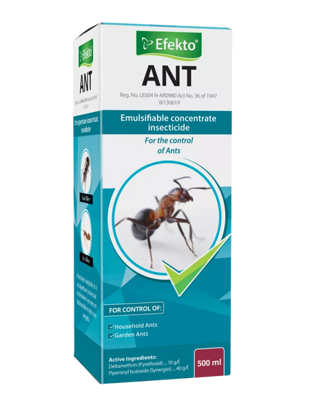 Efekto Ant