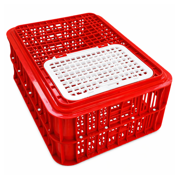 Poltek Classic Live Bird Crate (Virgin Colour)