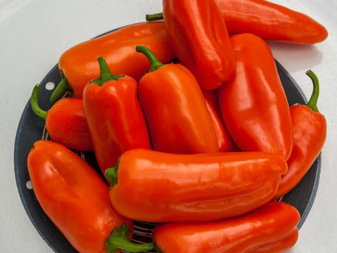 Crispy Oro Pepper Seeds