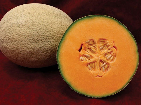 Majestic Melon Seeds (Price From)