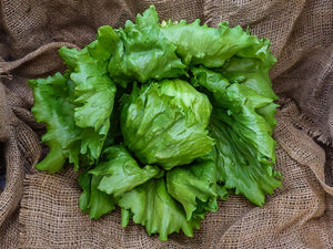 Meridian Iceberg Lettuce (Price From)