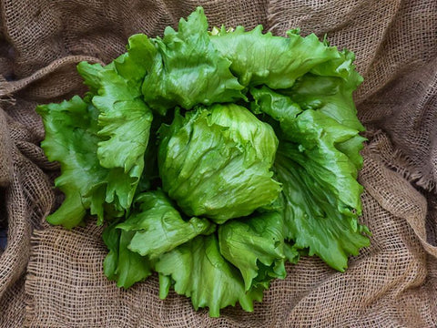 Meridian Iceberg Lettuce (Price From)