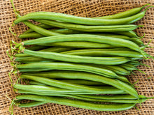 Moraleda* Runner Beans (5000 seeds)