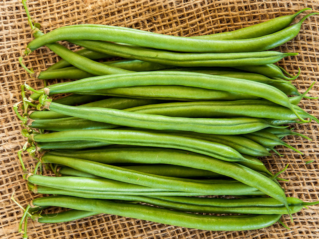 Moraleda* Runner Beans (5000 seeds)