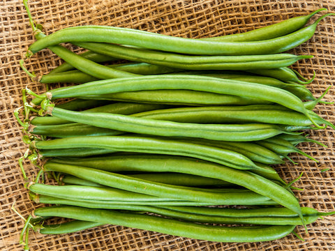 Moraleda* Runner Beans (5000 seeds)