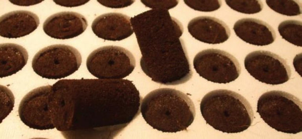 Jiffy Peat Preforma Box Plugs