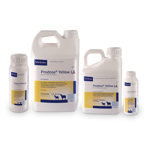 Virbac Prodose Yellow LA (Prices from)
