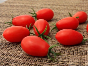 Oribustar Indeterminate Mini Plum Tomato Seeds (Prices From)