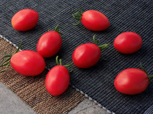 Rozestar* Indeterminate Tomato Seeds (Prices From)