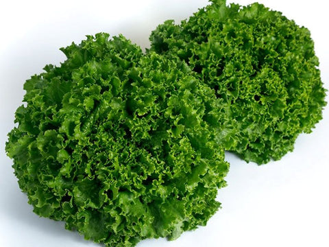Monterra Green Batavia Lettuce (Price From)