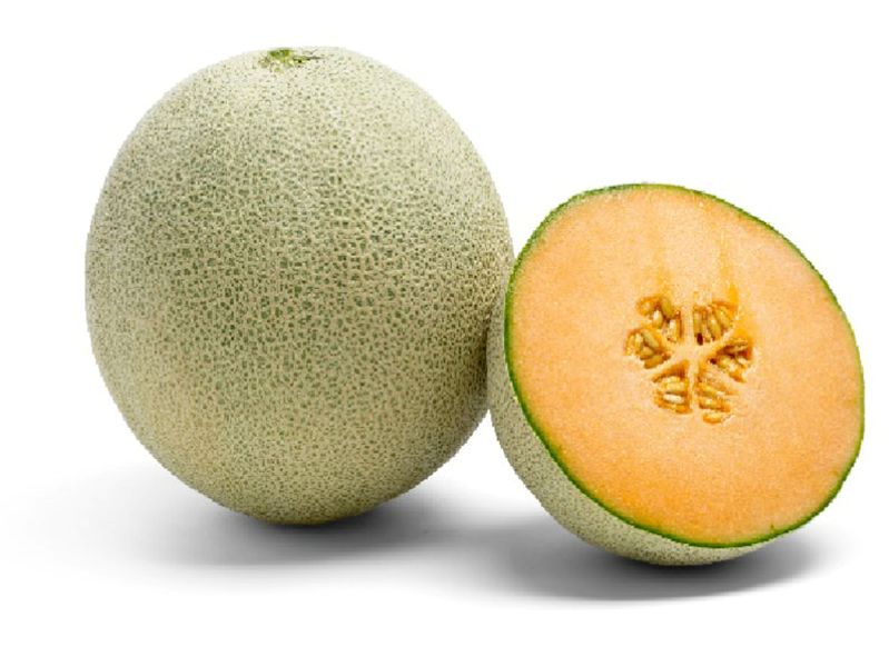 Horizon* Melon Seeds (Price From)