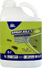 Protek Spray Kill 1 for Home and Garden Insecticide (Prices from)