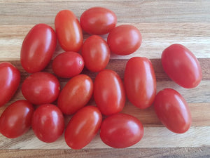 Starling Indeterminate Mini Plum Tomato Seeds (1 000 Seeds)
