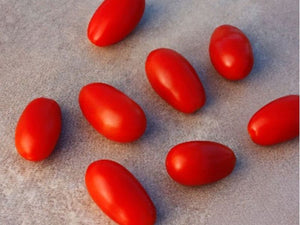 Bellastar* Indeterminate Tomato Seeds (Prices From)