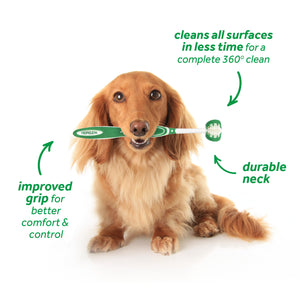 The Fresh Breath Oral Care Kit for Small & Medium Dogs