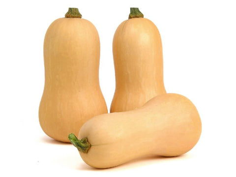 Mieluna Butternut Squash Seeds (Prices From)
