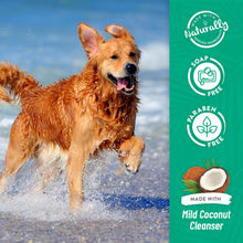 TropiClean Awapuhi & Coconut Whitening Dog & Cat Shampoo 355ml