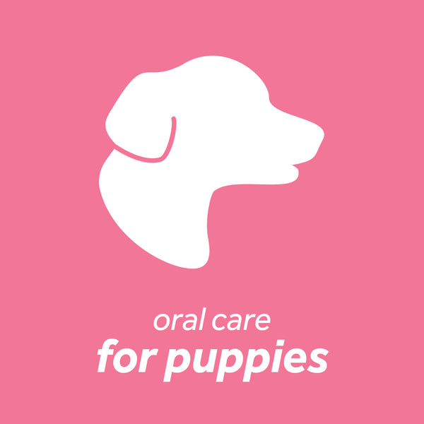 Tropiclean Fresh Breath Dental Health Solution Puppy 473mL