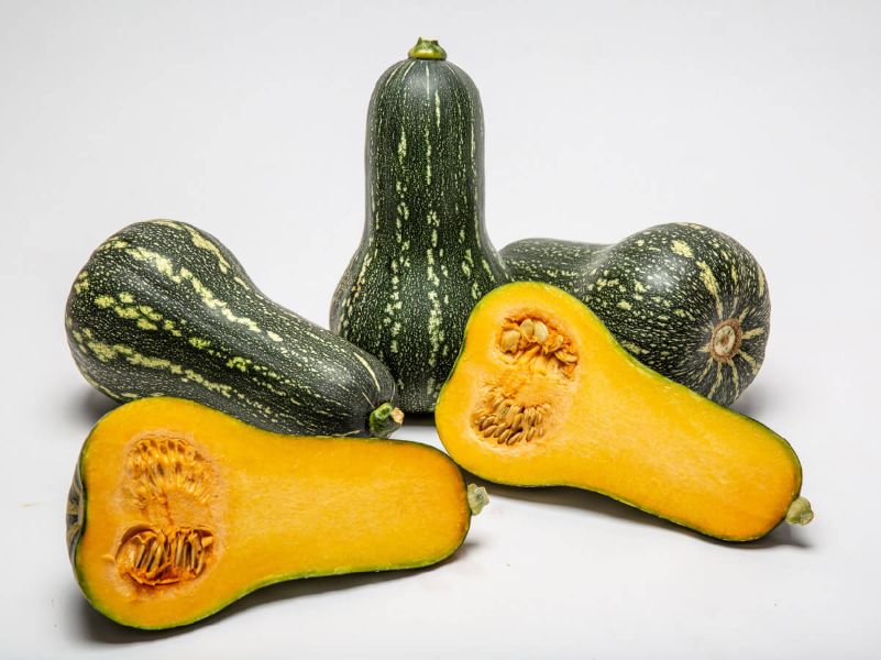 Tropicana Butternut - Tropical Squash Seeds (Prices From)