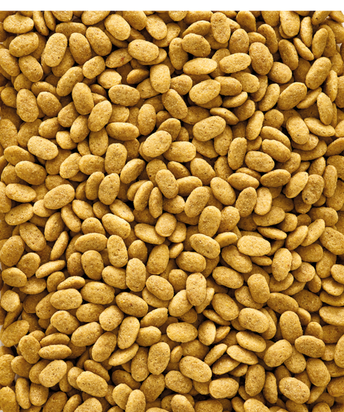 Versele-Laga NutriBird P15 Original Maintenance Pellets for Parrots (Prices from)