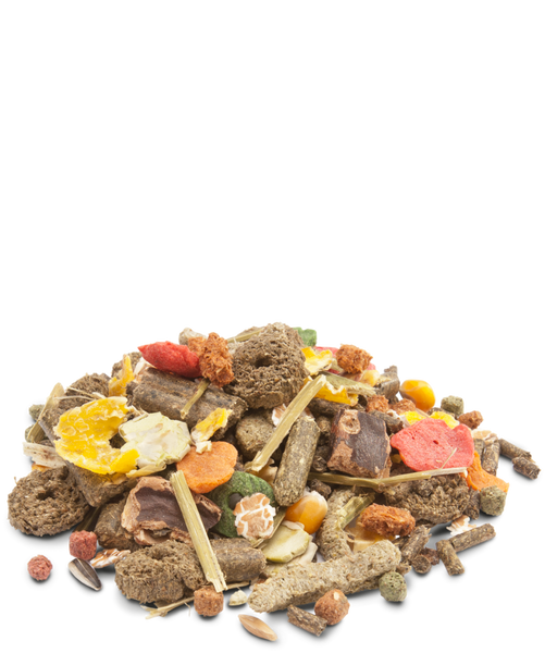 Versele-Laga Crispy Muesli (Cuni Crispy) for Rabbits 1kg