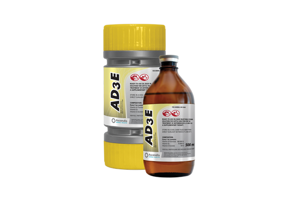 AD3E (Prices from)