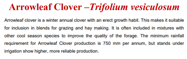Arrowleaf Clover Seeds 1kg