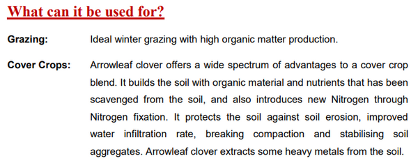 Arrowleaf Clover Seeds 1kg