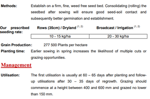 Babala Seeds/ Pearl Millet 25kg