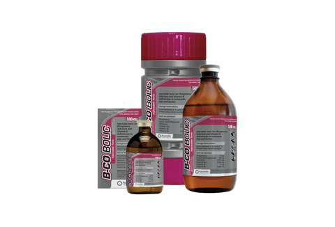 B-Co Bolic (Prices from)