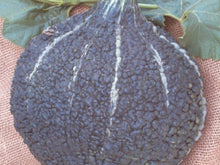 Green Hubbard Chicago Warted Squash Seeds (Prices From)