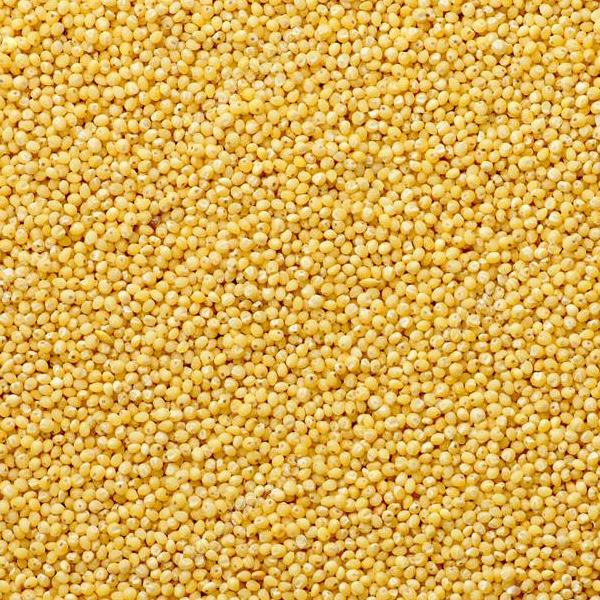 Couscous (Prices From)