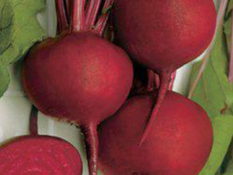 Detroit Dark Red Round Red Beet Seeds (Prices From)