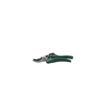 Lasher Secateur Cut & Professional - Pruners