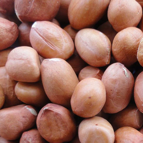 Groundnut seeds 25kg